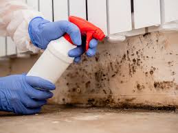 Best Comprehensive Air Testing for Mold Contaminants in Shiloh, PA